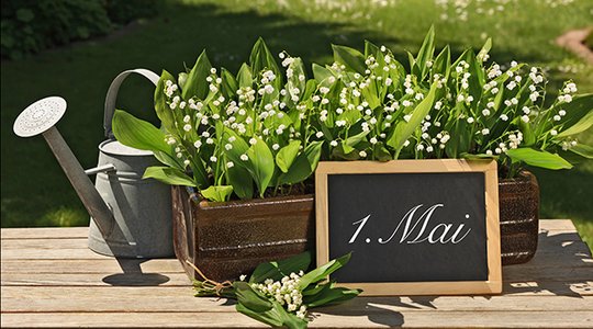 "En mai, fais ce qu'il te plaît" Pour la vente de muguet aussi ?