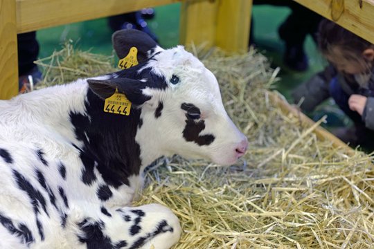 Salon international de l'agriculture Venez visiter la plus grande ferme du monde