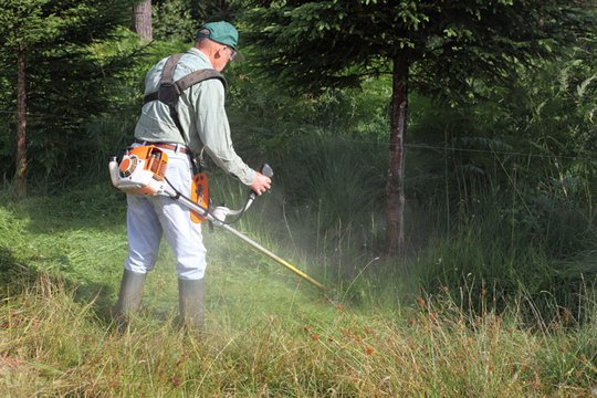 Débroussailler : plus qu'une précaution, parfois une obligation !