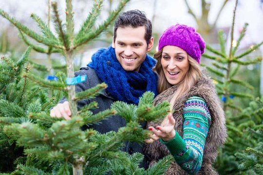 Le sapin de Noël qu'il vous faut