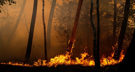 Assurance habitation et incendie Regardez votre contrat de près