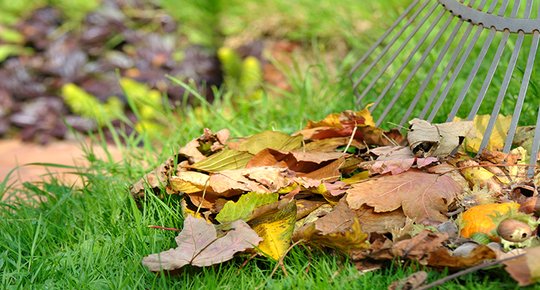 Ne brûlez pas vos feuilles mortes