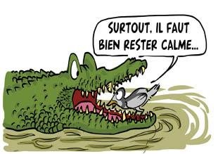 Le syndic de copropriété en 5 questions