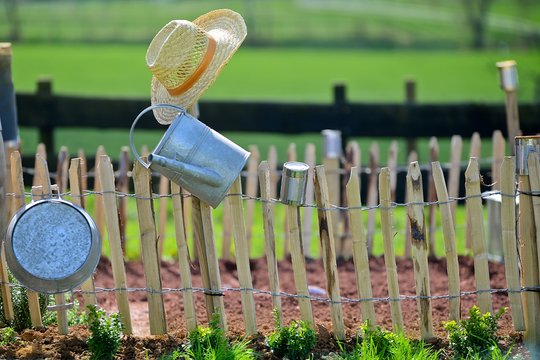 Jardin potager Le mois des semis