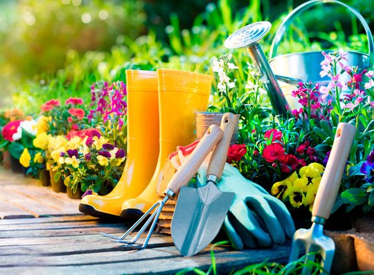 La rentrée au jardin