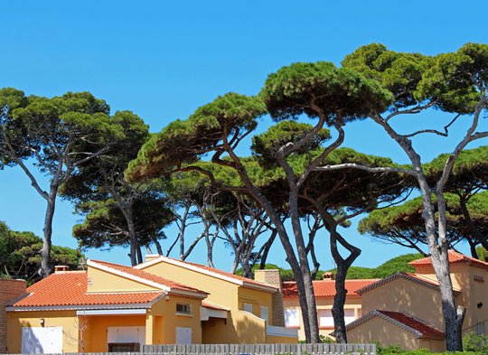 Être vendeur ou acquéreur Génial avec la négociation notariale !
