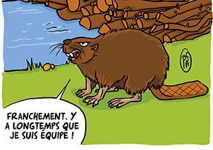 L'abécédaire des récupérateurs d'eau