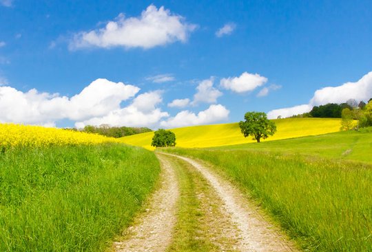 Des servitudes Pour passer votre chemin