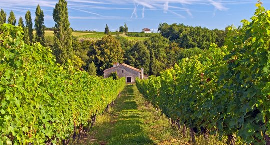 Entre-deux-Mers De beaux projets à cultiver