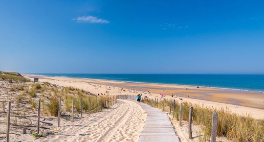 Immobilier du Médoc Un bon cru 2019 !