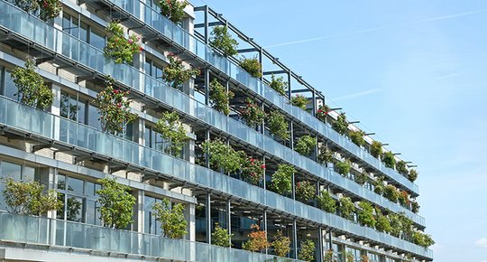 Immobilier NEUF Voyez la vie en vert !