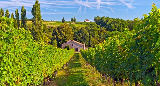 Entre-Deux-Mers et Sud-Garonne Situation enviable !