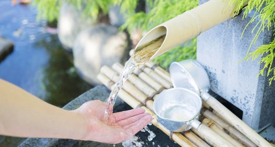 Un ruissellement d'idées pour valoriser son jardin