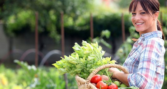 Jardins familiaux Une bulle d'oxygène pour les citadins