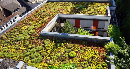 Un jardin sur le toit