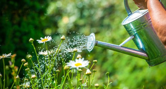 Les éco gestes de l'été pour préserver l'eau