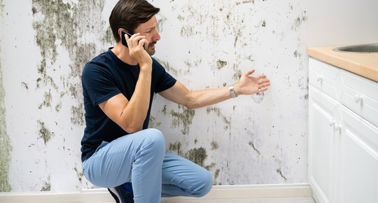 Quels sont les vices cachés d'un appartement ?