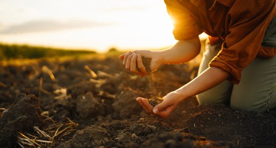Entreprise agricole Faites le bon choix