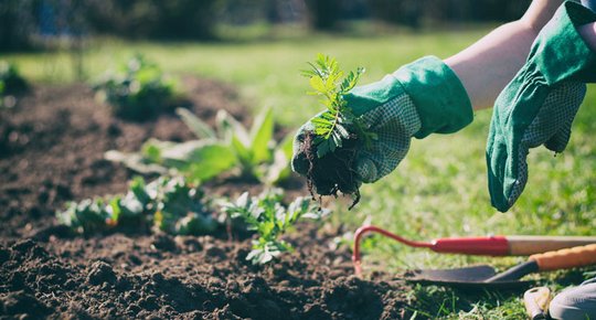 Petit guide pour vos travaux de printemps