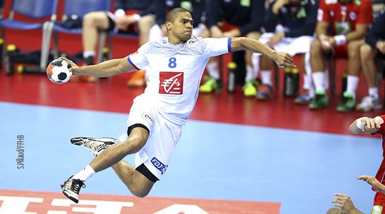 Daniel Narcisse, handballeur : avis de " l'Expert " sur l'immobilier