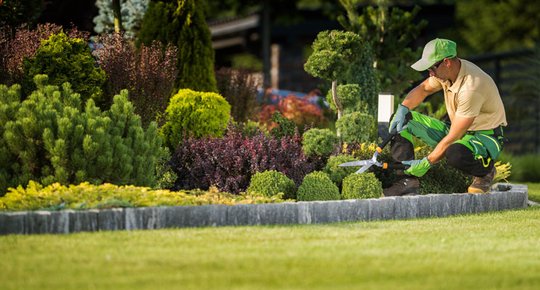 Optimisez vos réductions d'impôts avec l'entretien de votre jardin