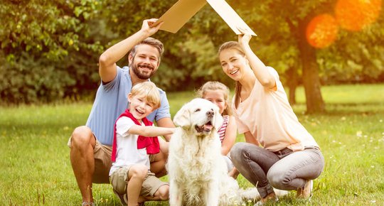 Flash infos : actualité de l'immobilier et nouveautés de la vie pratique