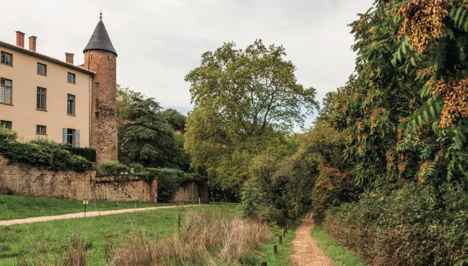 Programme neuf Neuville-sur-Saône 69250 Rhône 69 de 120750 à 203225 MDCS-33658 004